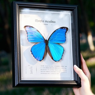 ������˱��[�����b���Ʒ�Ҿ��{�W�����þG���P����Ϧ���նY��