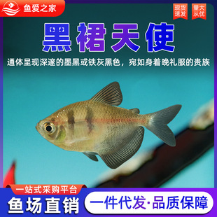 ��ȹ��ʹ�~�^�p�~��ˮ�Ꭷ�~С���~���~���~�߲��~�����~���B�ͻ�