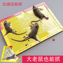 ���üӺ� ���T�Dճ���N��������� �����N�����zץ�����