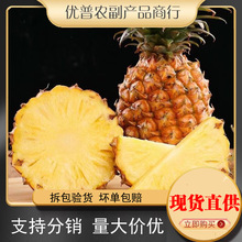 �V�|�����}ˮ��10�ﮔ����ˮ���}���r�P��տ��С���}���������