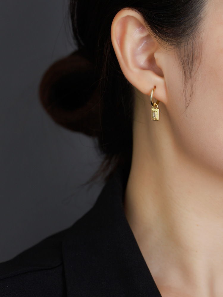 Fashion Geometric Sterling Silver Inlay Zircon Dangling Earrings 1 Pair