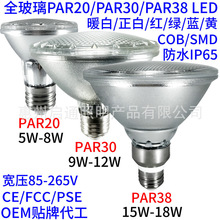 专业生产玻璃PAR38 LED射灯COB 15W 18W 聚光灯SMD E26 E27 PAR38