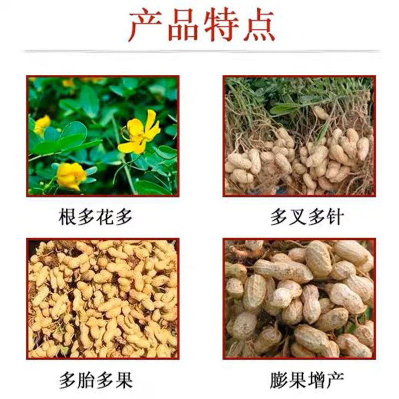 廠家供應八個老頭花生膨壯粒粒飽花生增產專用肥促下針開花多坐果