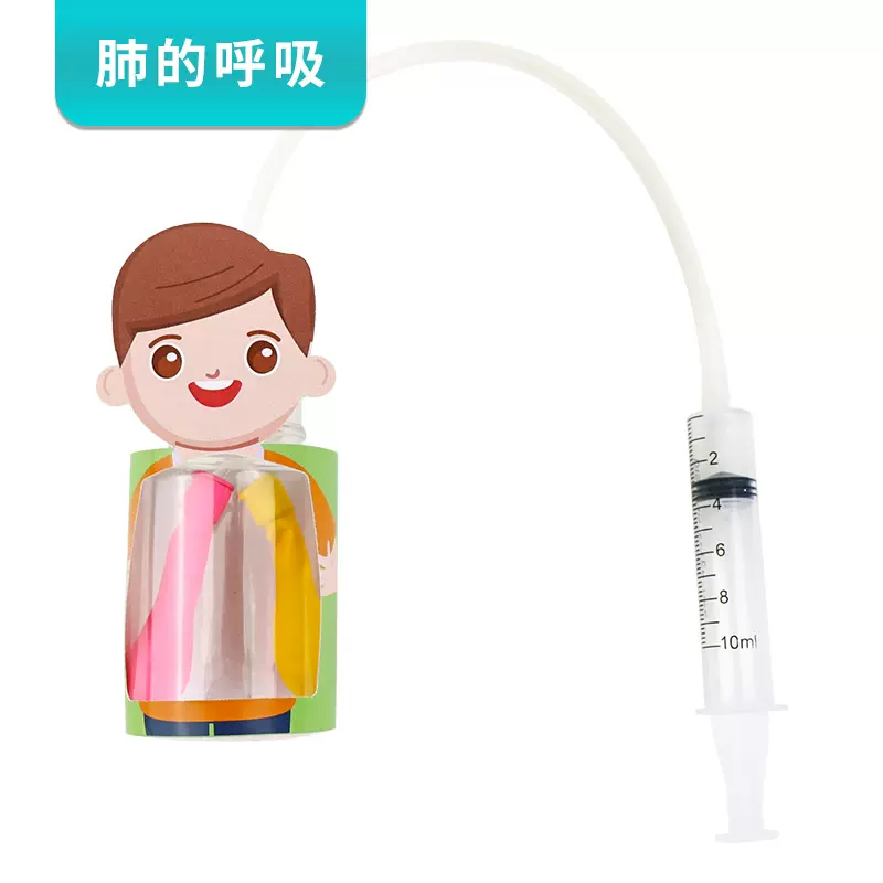 肺呼吸模型人体认知 四年级科学实验材料包diy科技小制作益智玩具