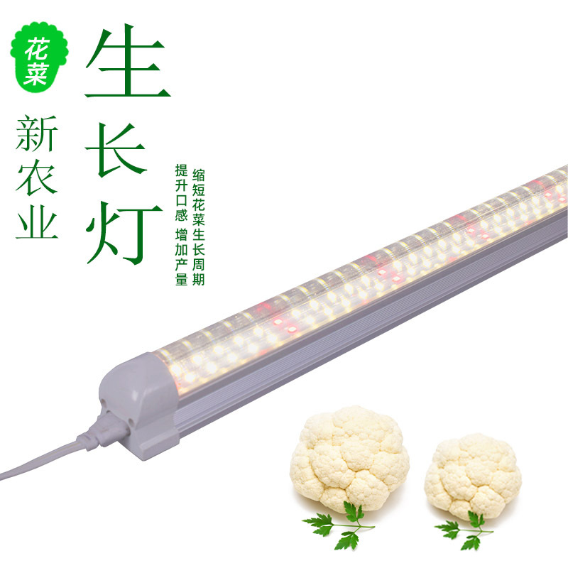 Plant lamp
