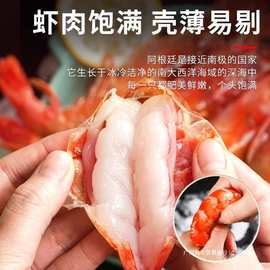 阿根廷大红虾鲜活冷冻L1规格新鲜超大海虾大红虾原装顺丰包邮】