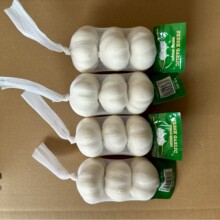 EXPORT ���⵽ �����ޡ����lԴ�^���S�ӹ����lֱ�l