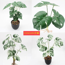 ����Gֲ�Ӱ��g�̈�ܛ�b�����������~���Wֲ���������������~