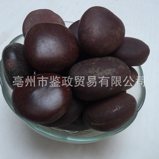 ș�����l���� �^������ ɢ�b ľ���� ����/�}���� �I�䌚