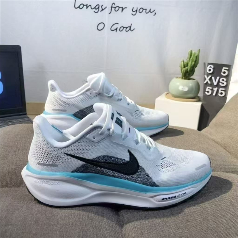 달 착륙 페가수스 화이트 그레이 블루