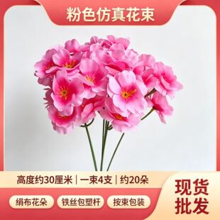 ��ɫ���Ļ����򻨻�c�廨�ٻ��Ļ�Y�������û�ˇ�b[�ŷ��滨