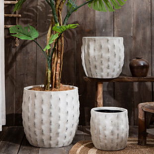 ���W����A�ΰ�ɫ�������V�����������޼Ҿӻ�����ȸľ�Ž���