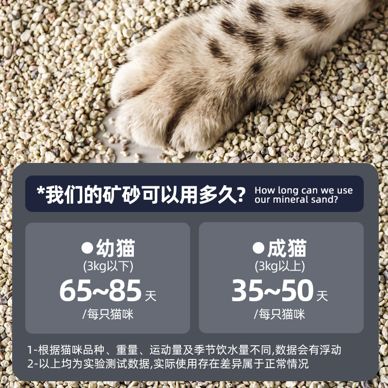 主图 (4)