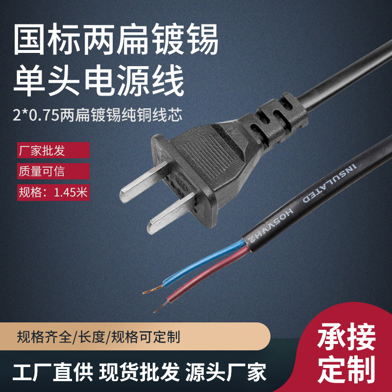 National Standard Single-Head Pure Copper Power Cord Small European Standard Two-Round Tin Two-Term with Wire Plug Two-Pin Bare Tail Plug Cord National Standard Single-Head Pure Copper Power Cord Small European Standard Two-Round Tin Two-Term with Wire Plug Two-Pin Bare Tail Plug Cord