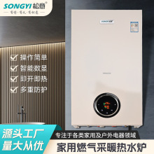 松意燃气壁挂炉天然气家用两用洗浴供暖锅炉燃气采暖热水炉