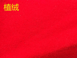 �tɫֲ�q���۾���