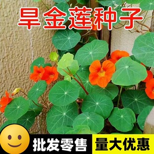 ����ɏ���N���ļ��_���׻�����ٺ��ɻ��N���҃��̨���Ի��N��