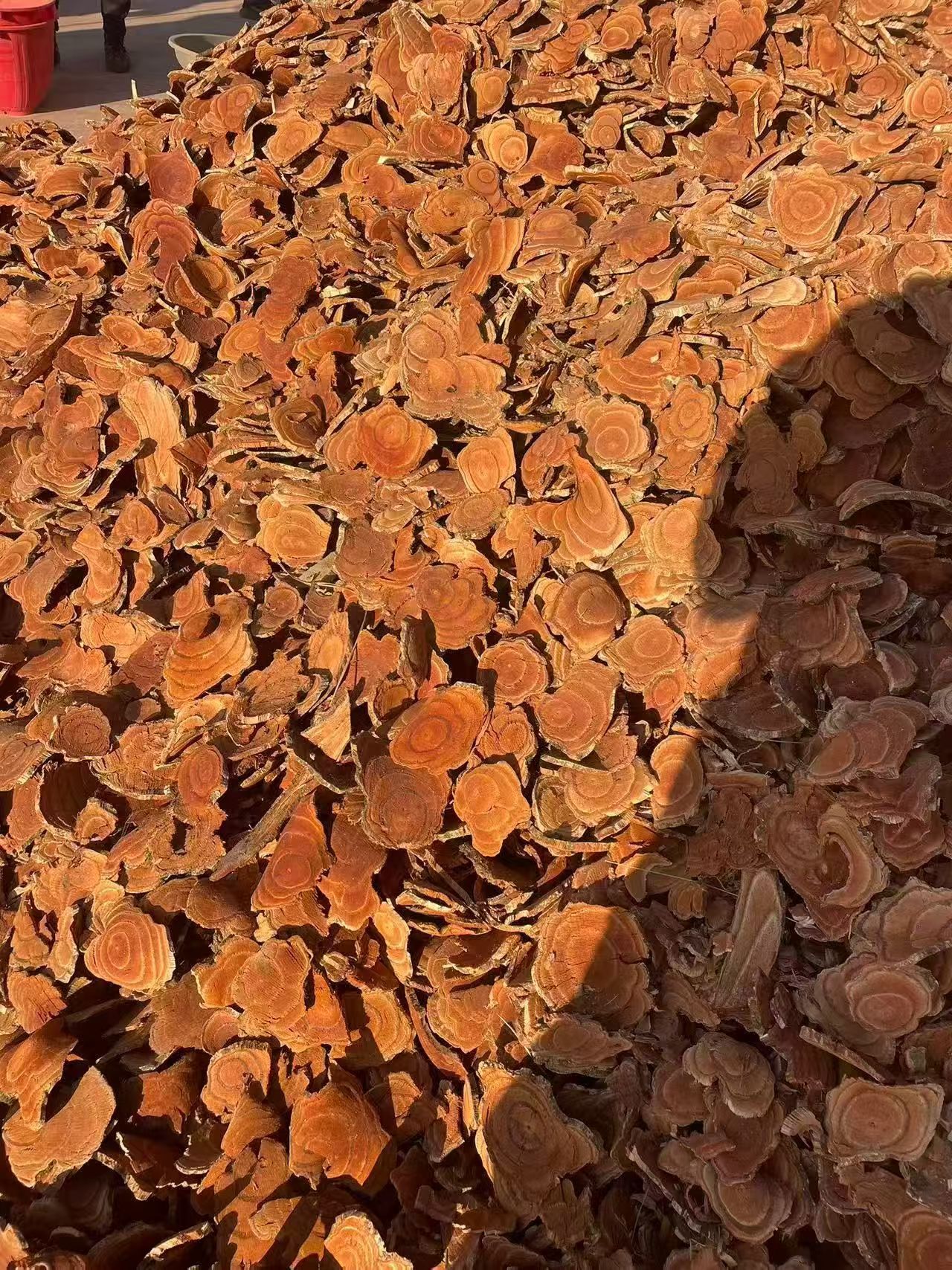 Ji Xue Teng Dried Spatholobus Suberectus Vine Slices Chinese Herb for Decoction Soup and Wine Soaking quality and texture