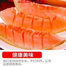 超甜黄金蜂糖蜜瓜水果批发应季阎良香瓜新鲜3/5/10斤小哈密瓜整箱
