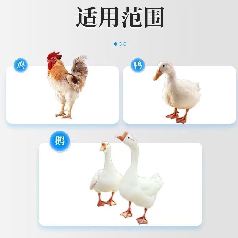 【牧德旺】浓速温肠清禽用养殖场常备饲料添加剂厂家直营支持批发