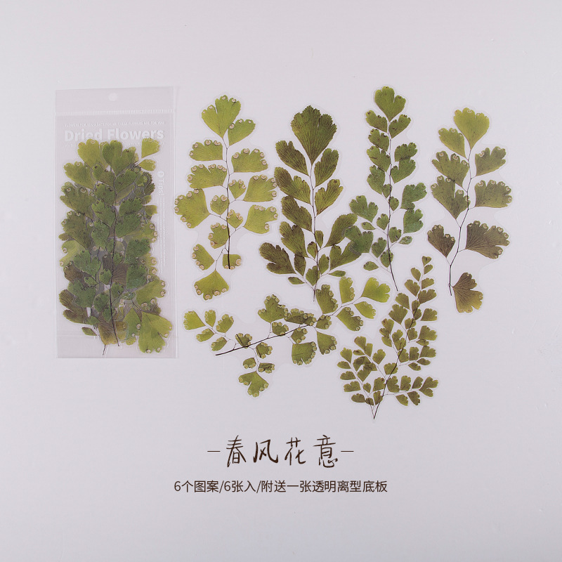 Mo Jing PET Diario pegatinas de fin de semana Flower Shop serie vintage material vegetal pegatinas Collage decoración 6 unidades 8 modelos