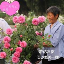 �ٱ��Ϙ��¼��Nޱ���ͺ������ɫ�����¼������ļ��_���̨ͥԺ