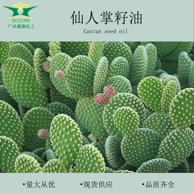 Индийский кактус масло масло массажное масло помада лосьон помада косметика сырье растительное базовое масло 5 мл