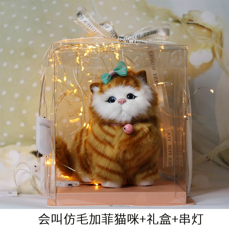 머리카락과 같은 Garfield 앵커 조명이있는 투명 선물 상자