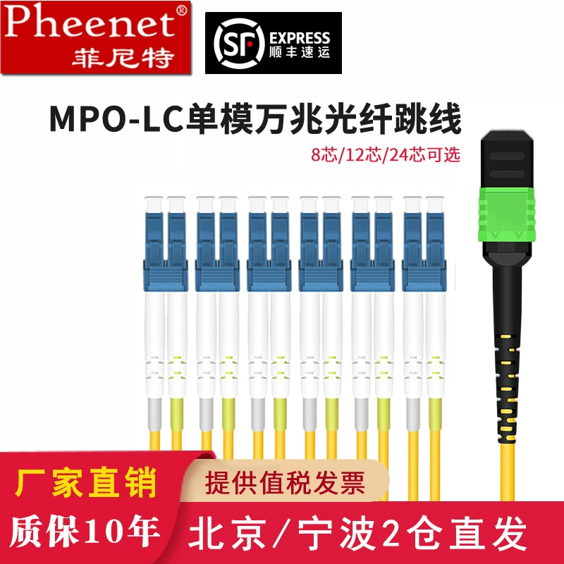 [Низкие потери] Финит MPO-LC 1 м 8-ядерный одномодовый 10-гигабитный оптоволоконный джемпер высокой плотности 40 г