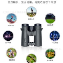 SICONGhR 10X42-OH2321-02ֳֺ^hR