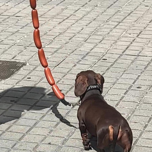 Dog Leash with a Bunch of Big Sausages, Funny Small and Medium-Sized Dog Dachshund Corgi Pet Supplies Dog Walking Leash