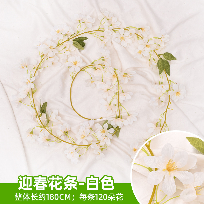 겨울 재스민 스트립-화이트