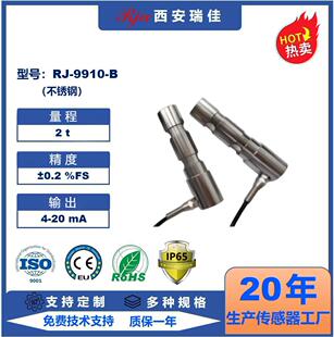 ��ӳӸ߾��ȷQ�؂�����RJ9910B������2tС�ذ�΢�͜y���x���F؛