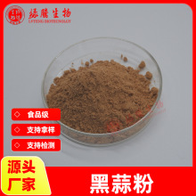 黑蒜粉99% 水溶 黑蒜提取物 发酵黑蒜粉 绿腾供应 包邮 现货优惠