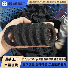 ^Vd՚^V  ՉCmޙC^VdܶȞV޺