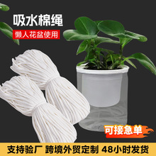 自吸水棉绳水培绿植园艺懒人花盆养花浇花绿萝盆栽白色包芯棉绳