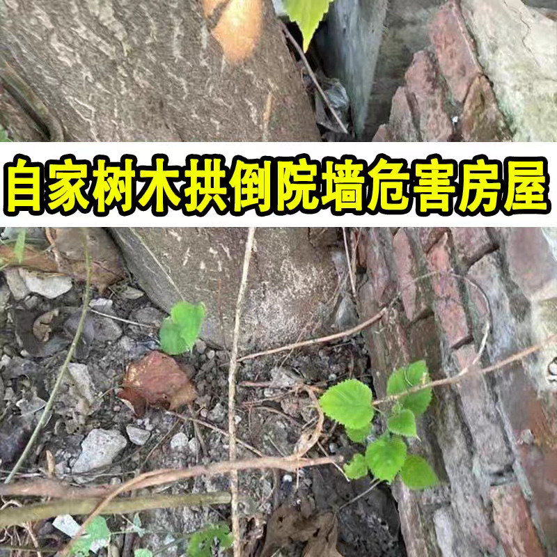 微信图片_202601261740371