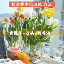 ˮ�������㲣������͸������ˮ�Bֲ�������L����ˮ�ɻ��ܻ�ƿ�Ӻ�