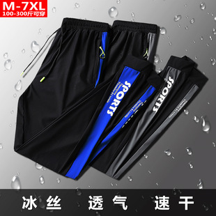 �ļ��������b͸�ⱡ����zѝ������ʿ�ӷʼӴ�a�����\�����e�Lѝ