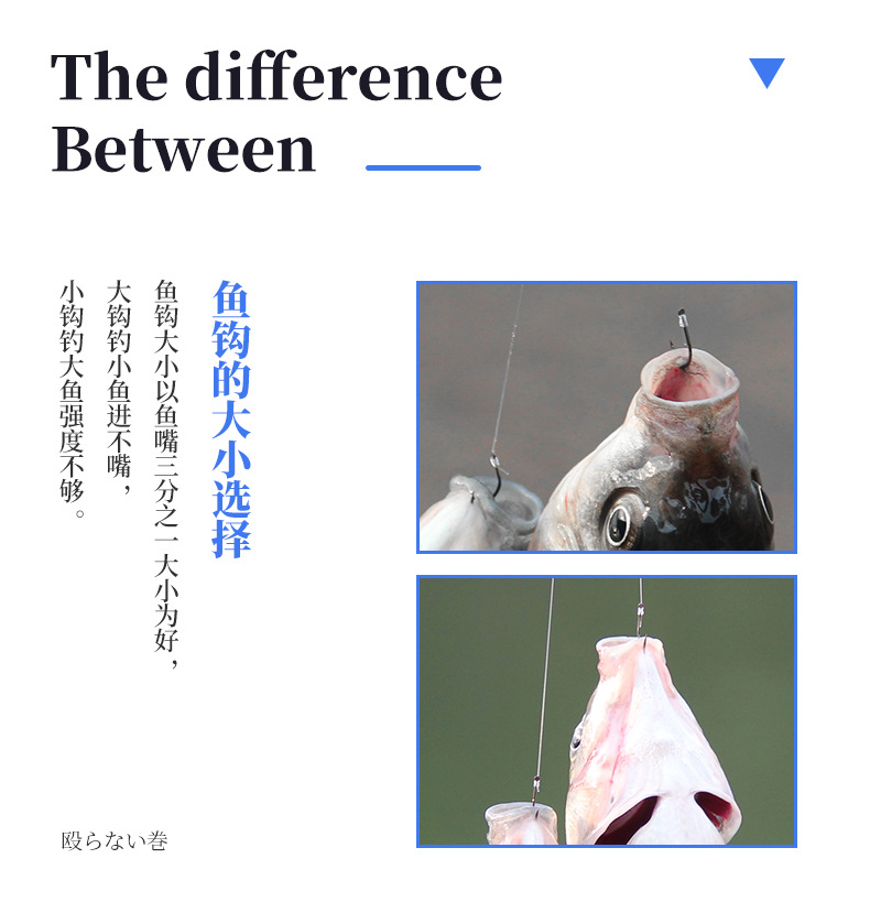 伊势尼子线双钩_10