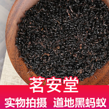 批发中药材黑蚂蚁 现货供应红蚂蚁 黄蚂蚁 中药材黑蚂蚁 泡酒蚂蚁