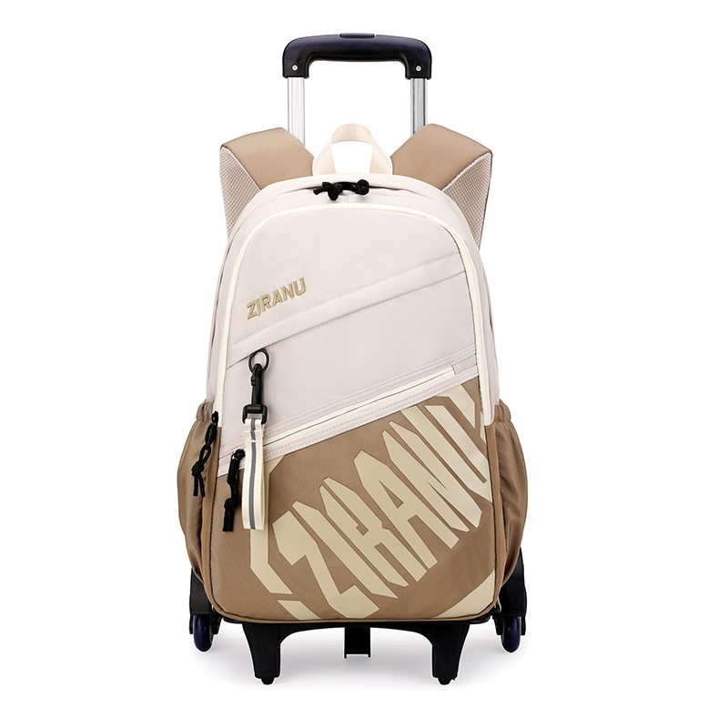 Mochila de pescado natural para niños de grado 3 - 6 con ruedas para subir escaleras, mochila de secundaria secundaria