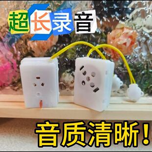 �����DIY�����а���l��ë�q�����������������ɷŒ������