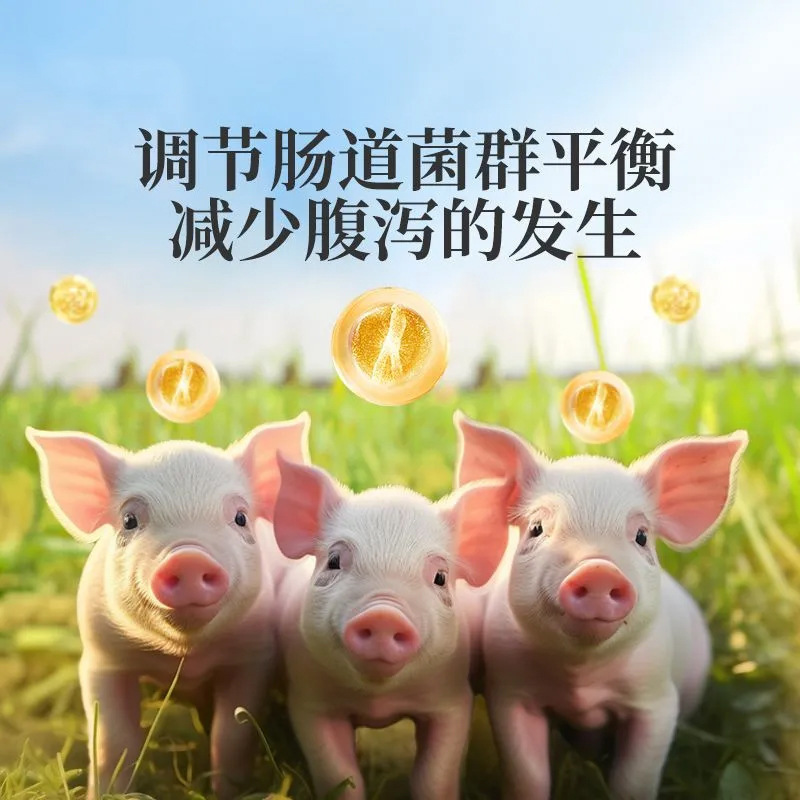 豚、牛、羊、家禽、鶏の飼育、肥育、体重増加、成長促進、腸の調節のための動物用プロバイオティクスの兆数の生菌|undefined