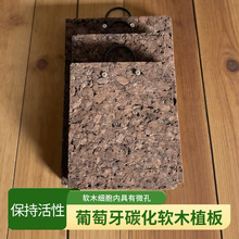 ̼��ܛľ��羳���l��朽Ӷ��¹��ާ���W�LŮ��¹��ާ�W�t���m