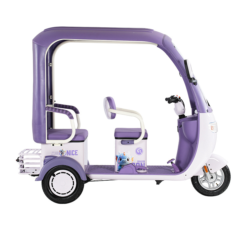 Nuevo triciclo eléctrico estándar nacional de pasajeros y mercancías de doble propósito con cobertizo para recoger a los niños, triciclo eléctrico integral para los ancianos