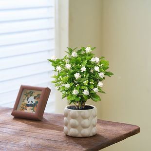 �����҃ȿ͏d�̨�Gֲ���������ļ����B�����՚�