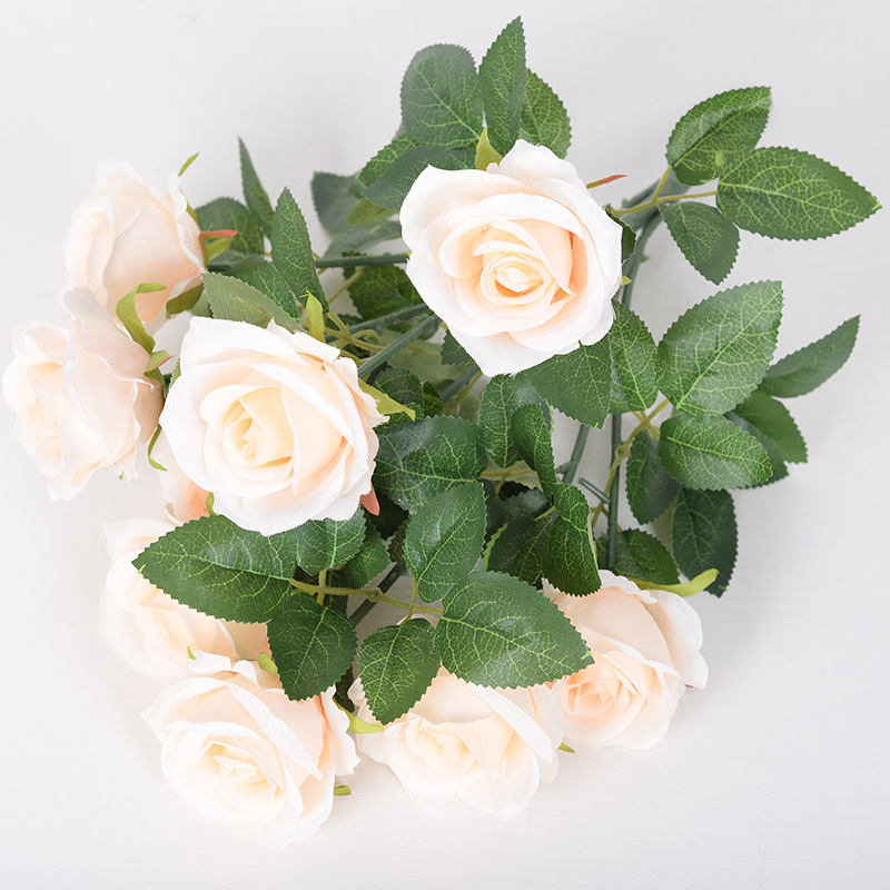 9 little paris champagne color