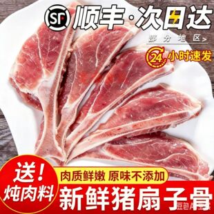 �����i�ȹ��r�����ӹǼ��ιǎ��������r�i���i�����ӹǰ��]