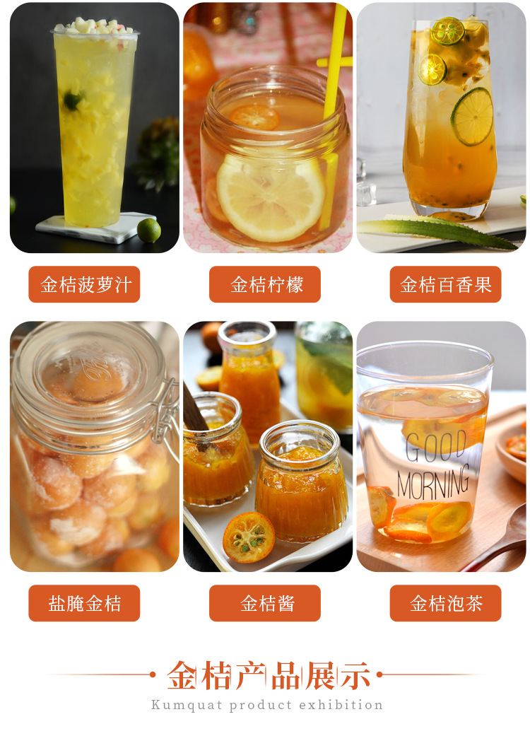 Dried Kumquat Slices (Fortunella margarita) — Guilin Low-Temperature Dried Kumquat for Tea, 500g in use